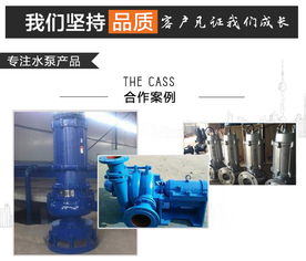 煙氣循環脫硫泵與臥式全貫流泵的技術應用——以吉林華奧水泵廠為例