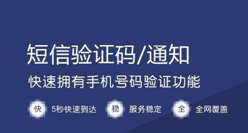 短信霸屏代理 引爆商機(jī)，搶占營銷新藍(lán)海
